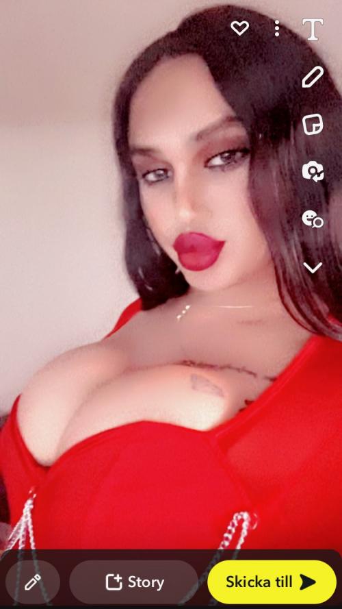 +46 72-356 13 29